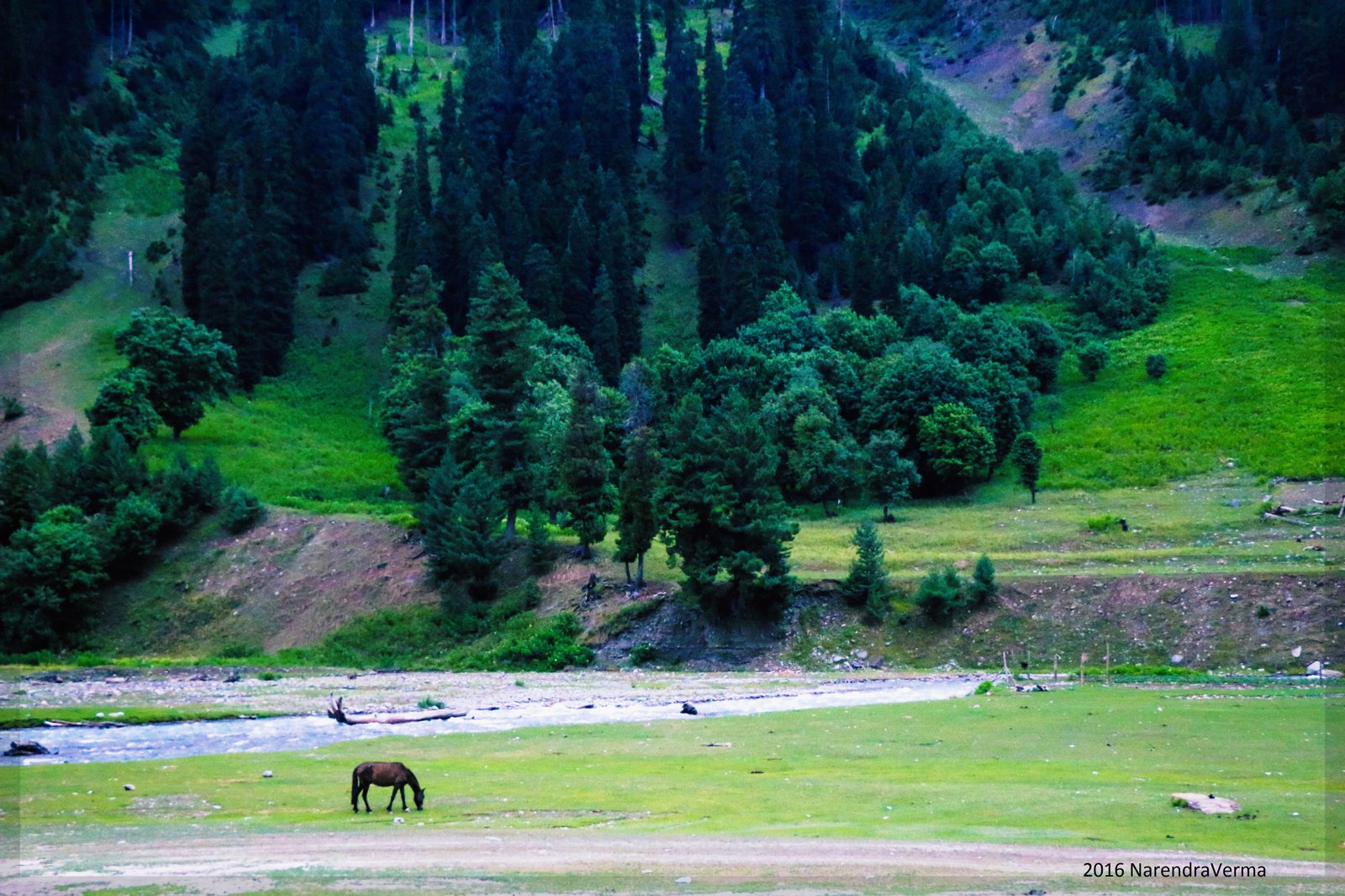 Baltal, Kashmir, india.