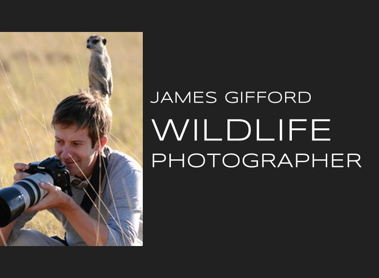 Meet Award Winning Wildlife Photographer James Gifford